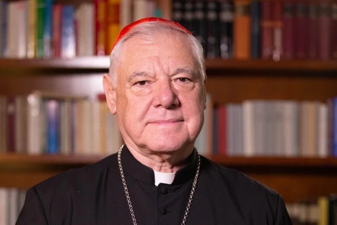 Cardinal Gerhard Ludwig Müller